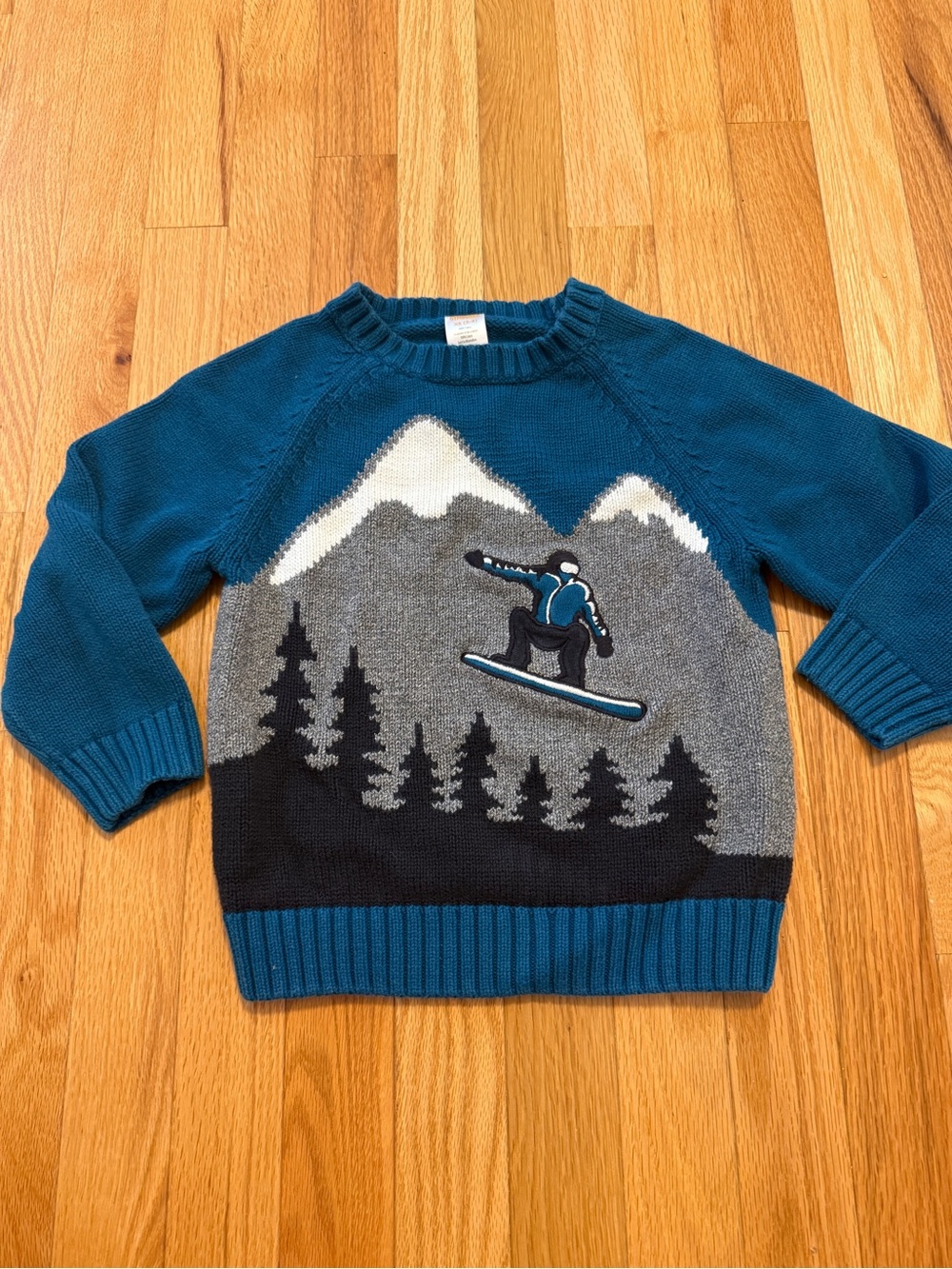 Boys Vlue Mountain Snowboard Graphic Sweater